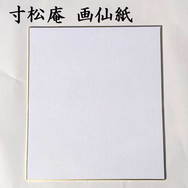 色紙 寸松庵色紙 画仙紙 5枚セット BE13