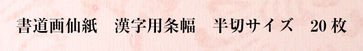 書道画仙紙漢字用20枚袋入り