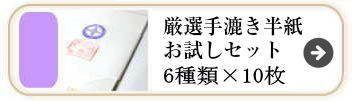 厳選手漉き書道半紙お試しセット