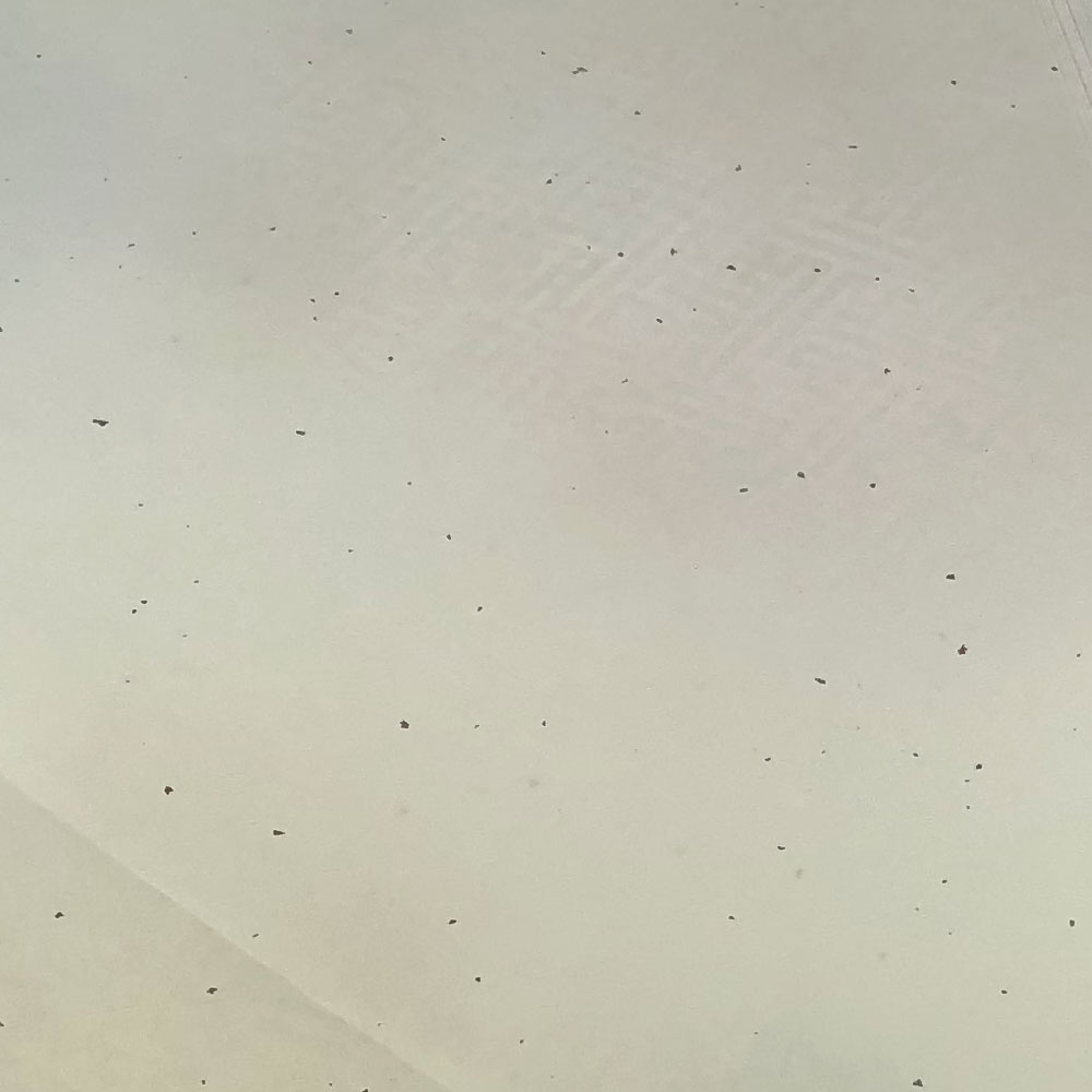 かな用料紙 あさつゆ