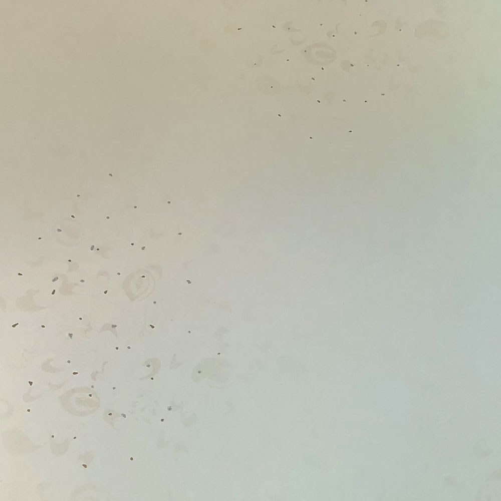 かな用料紙 花散里