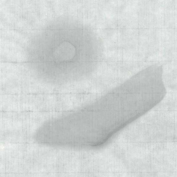 【画仙紙 半切】 光輝20枚