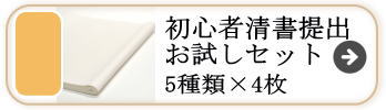 初心者清書提出用お試し